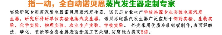 50-75kg/h實(shí)驗(yàn)研究小型蒸汽發(fā)生器簡(jiǎn)介