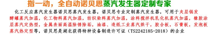 50-75kg/h化工反應(yīng)小型蒸汽發(fā)生器簡(jiǎn)介